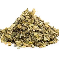 Moringa listy - bylina