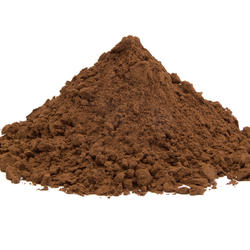 Reishi houba BIO (Ganoderma Lucidum) - prášek