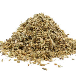 Řebříček květ (Achillea millefolium) - bylina