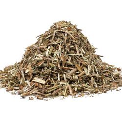 Svízel nať (Galium verum) - bylina