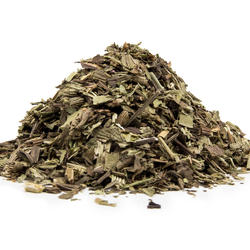 Jitrocel list (Plantago lanceolata) - bylina
