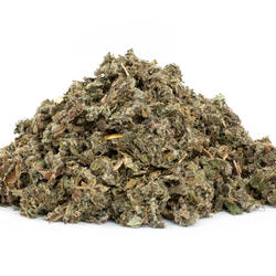 Lopuch list (Arctium lappa) - bylina