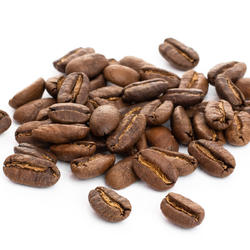 Indonésie Sulawesi Kalossi Toraja Grade 1