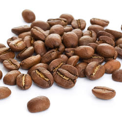 Salvador SHG Red Bourbon Finca Santa Adelaida - Micro Lot