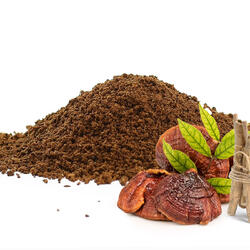 Adaptogenní káva s reishi a ashwagandhou - pouze mletá