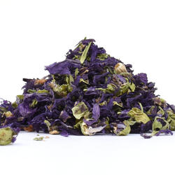 Sléz maurský květ (Malva mauritiana) - bylina